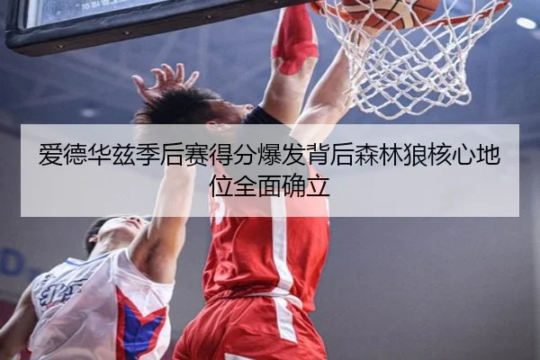 爱德华兹季后赛得分爆发背后森林狼核心地位全面确立