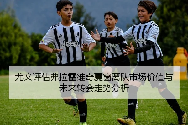 尤文评估弗拉霍维奇夏窗离队市场价值与未来转会走势分析